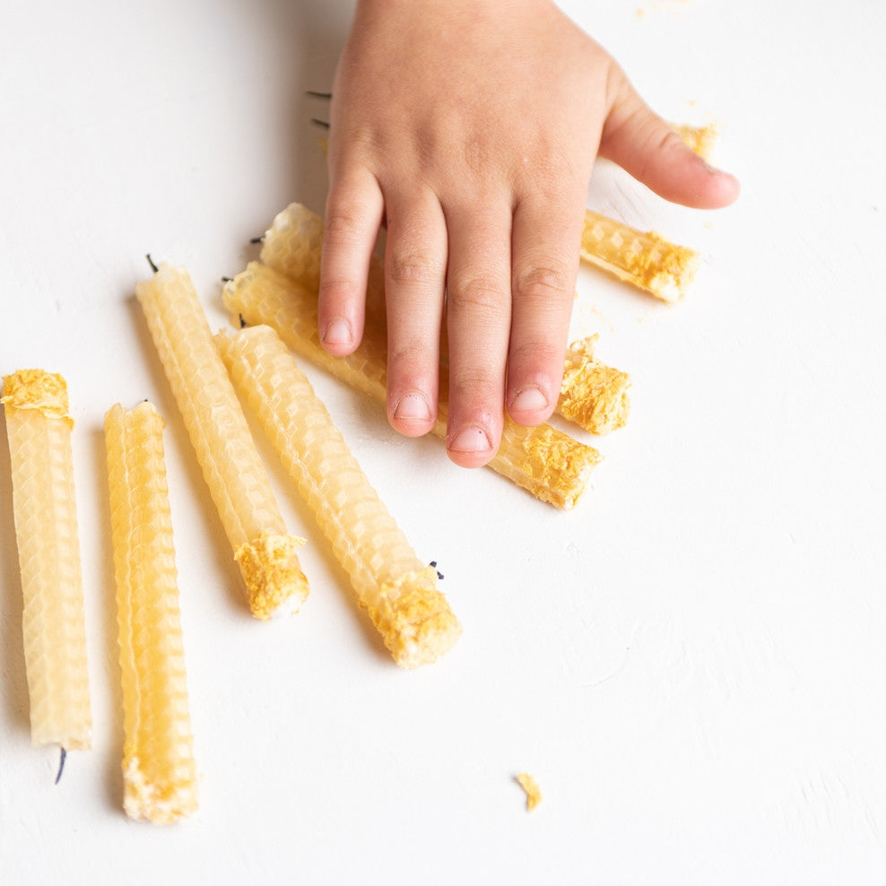 Eco Kids - Beeswax Candle Kit