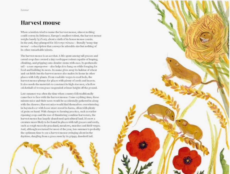 The Wildlife Year by Sally Coulthard