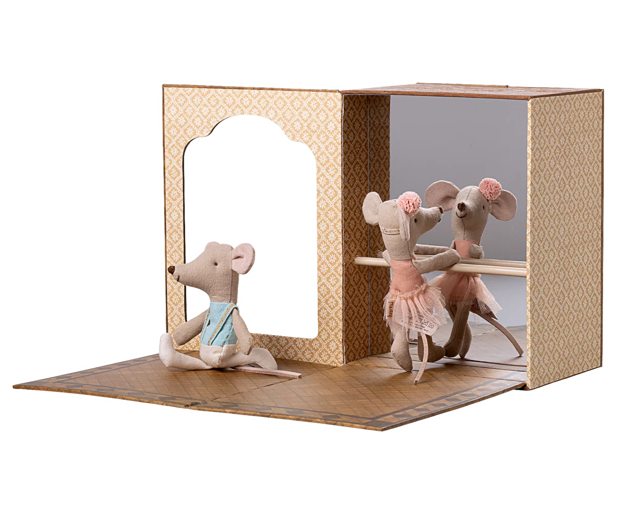 Ballet Mice in Dance Studio Little Brother and Sister