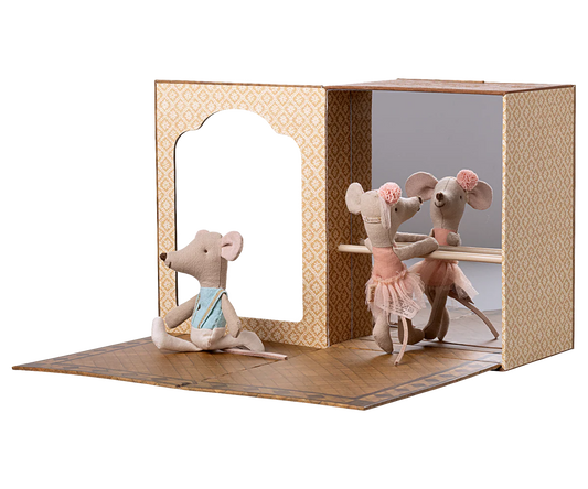 Ballet Mice in Dance Studio Little Brother and Sister