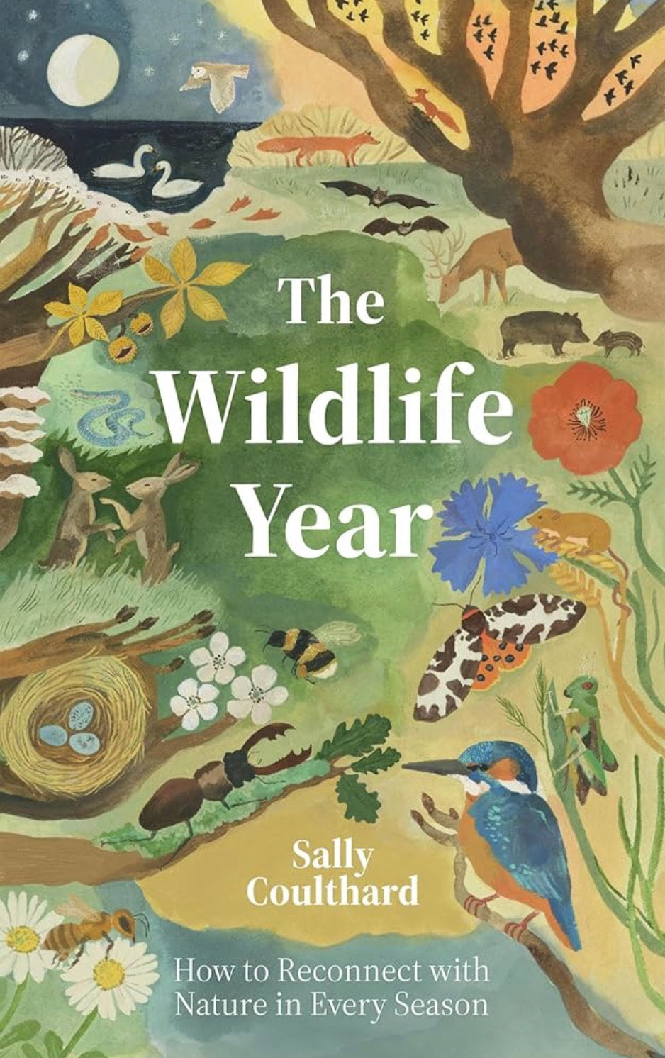 The Wildlife Year by Sally Coulthard