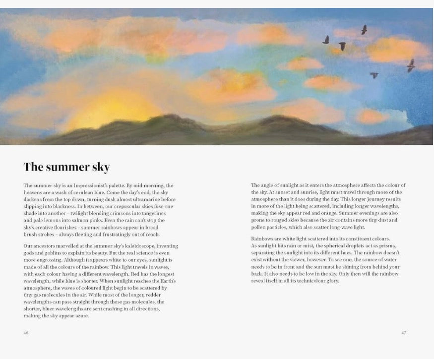 The Wildlife Year by Sally Coulthard