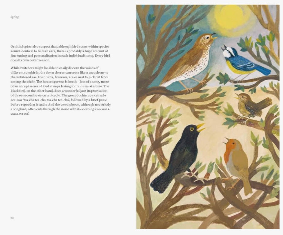 The Wildlife Year by Sally Coulthard