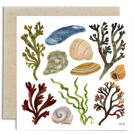 Gemma Koomen Shells and Seaweed Greeting Card