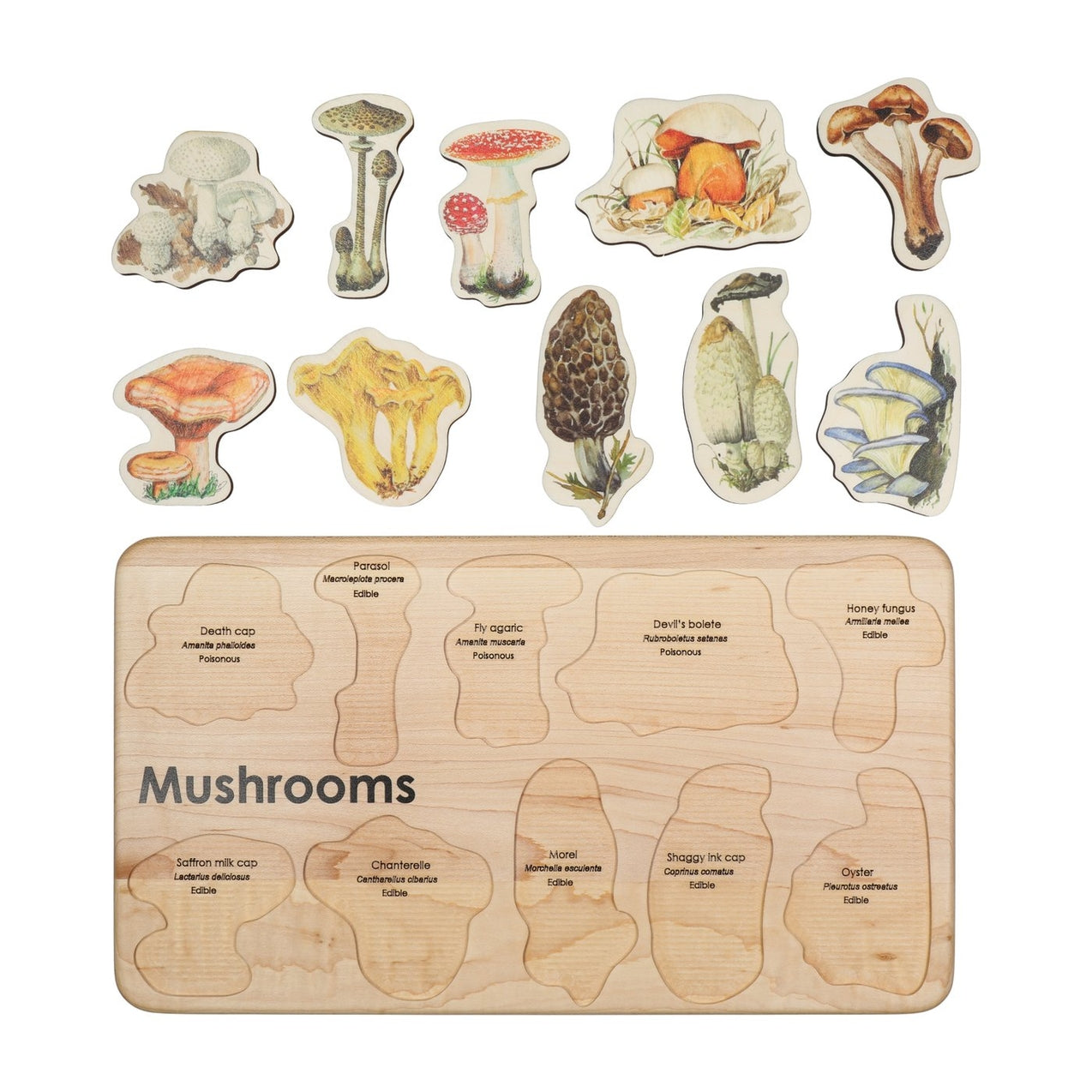 Mushroom Puzzle